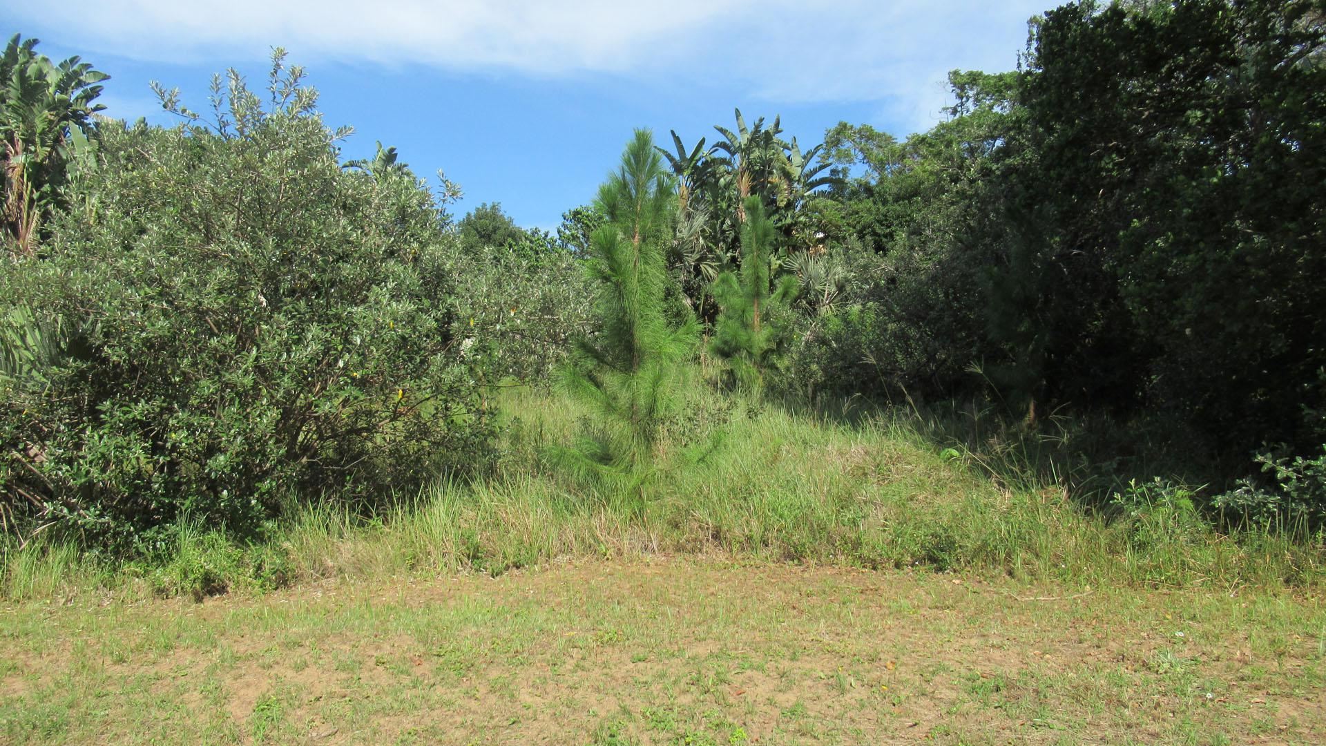 Front View of property in Palm Beach