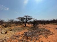  of property in Mokopane (Potgietersrust)