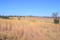  of property in Rietfontein