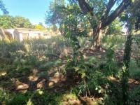  of property in Polokwane