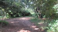 Backyard of property in Mtubatuba