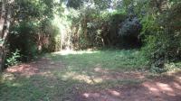 Backyard of property in Mtubatuba