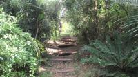 Backyard of property in Mtubatuba