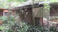 Backyard of property in Mtubatuba