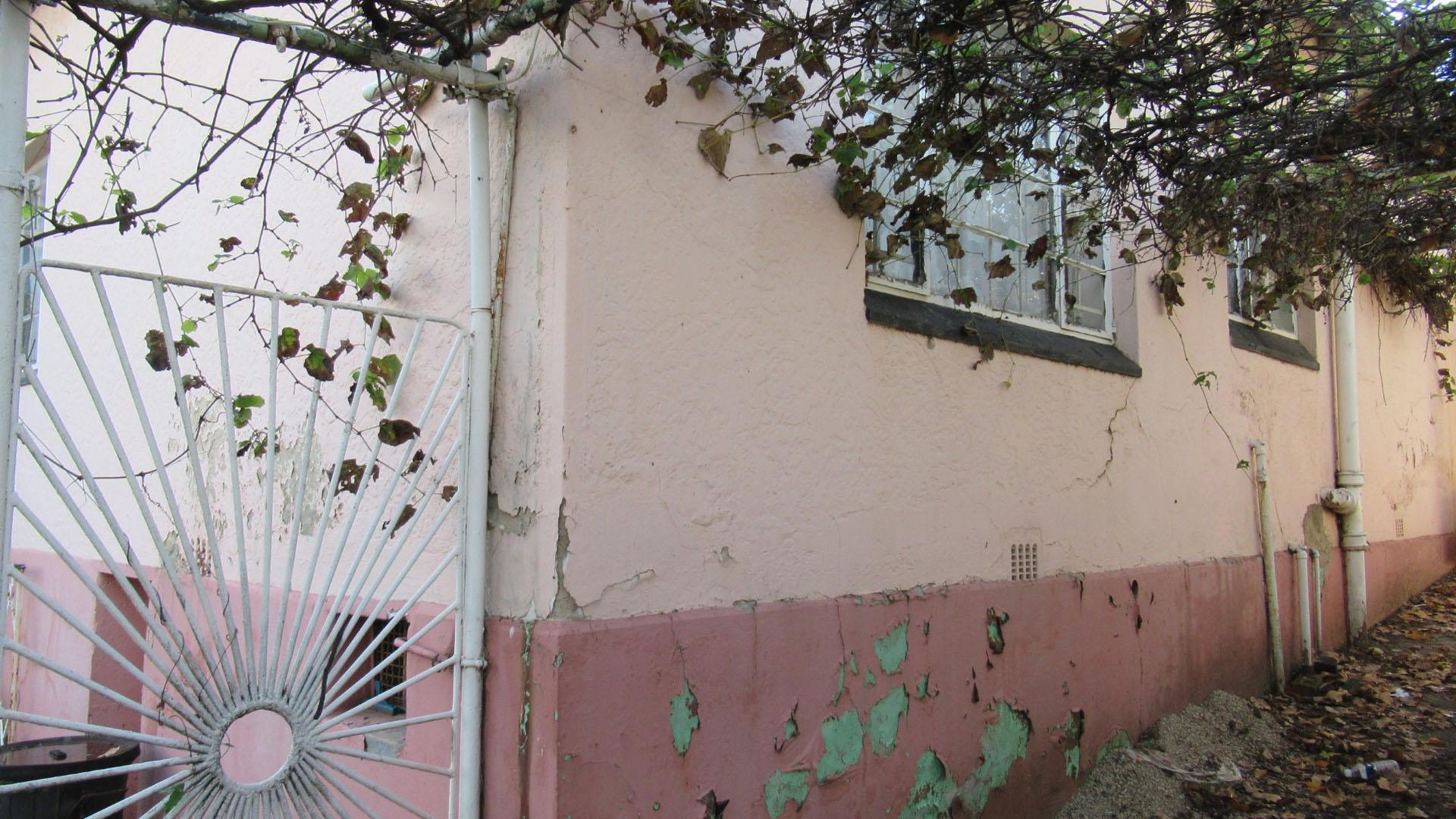 Backyard of property in Bezuidenhout Valley