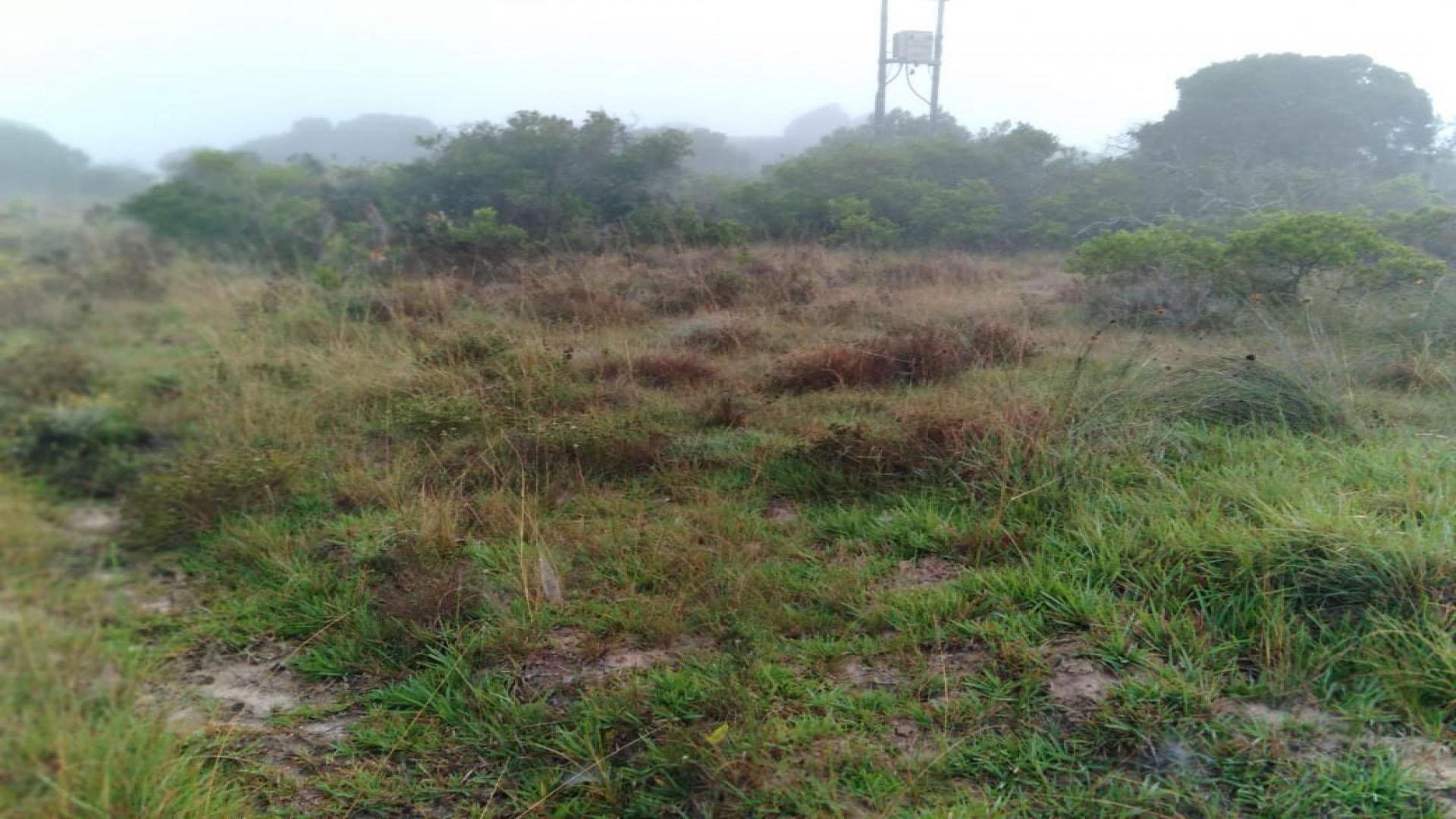 Front View of property in Boesmansriviermond