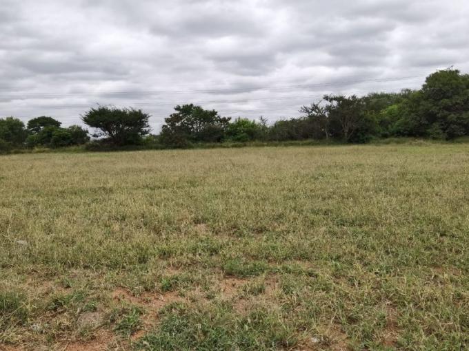 Land for Sale For Sale in Bendor - MR507074