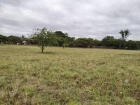  of property in Bendor