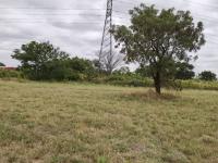  of property in Bendor