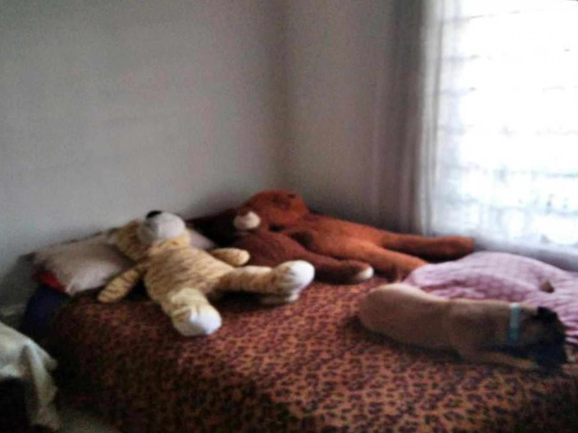 Bed Room 1 of property in Kellys View