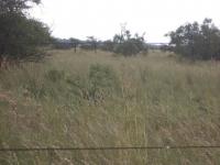 Land for Sale for sale in Polokwane