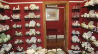 Rooms - 229 square meters of property in Melville