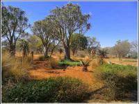  of property in Polokwane