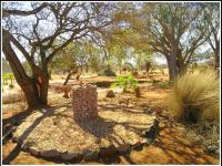  of property in Polokwane
