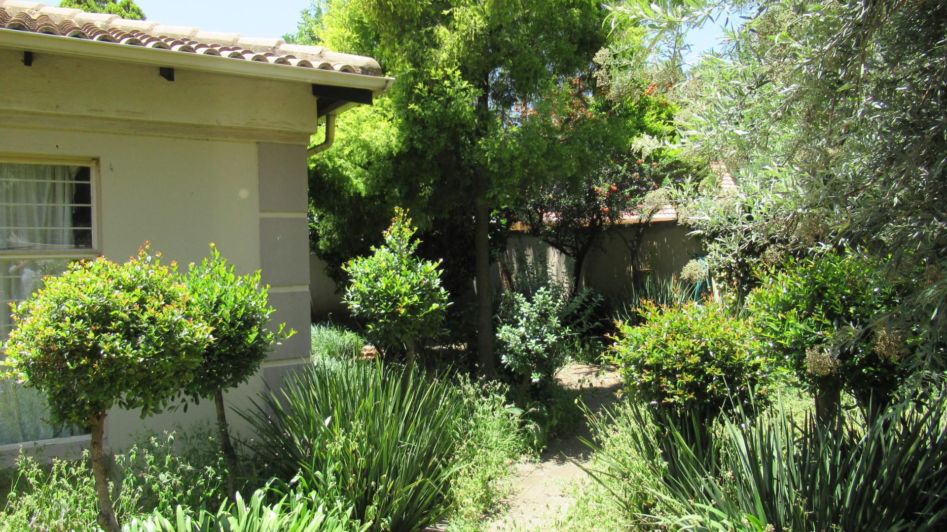 Garden of property in Rynfield