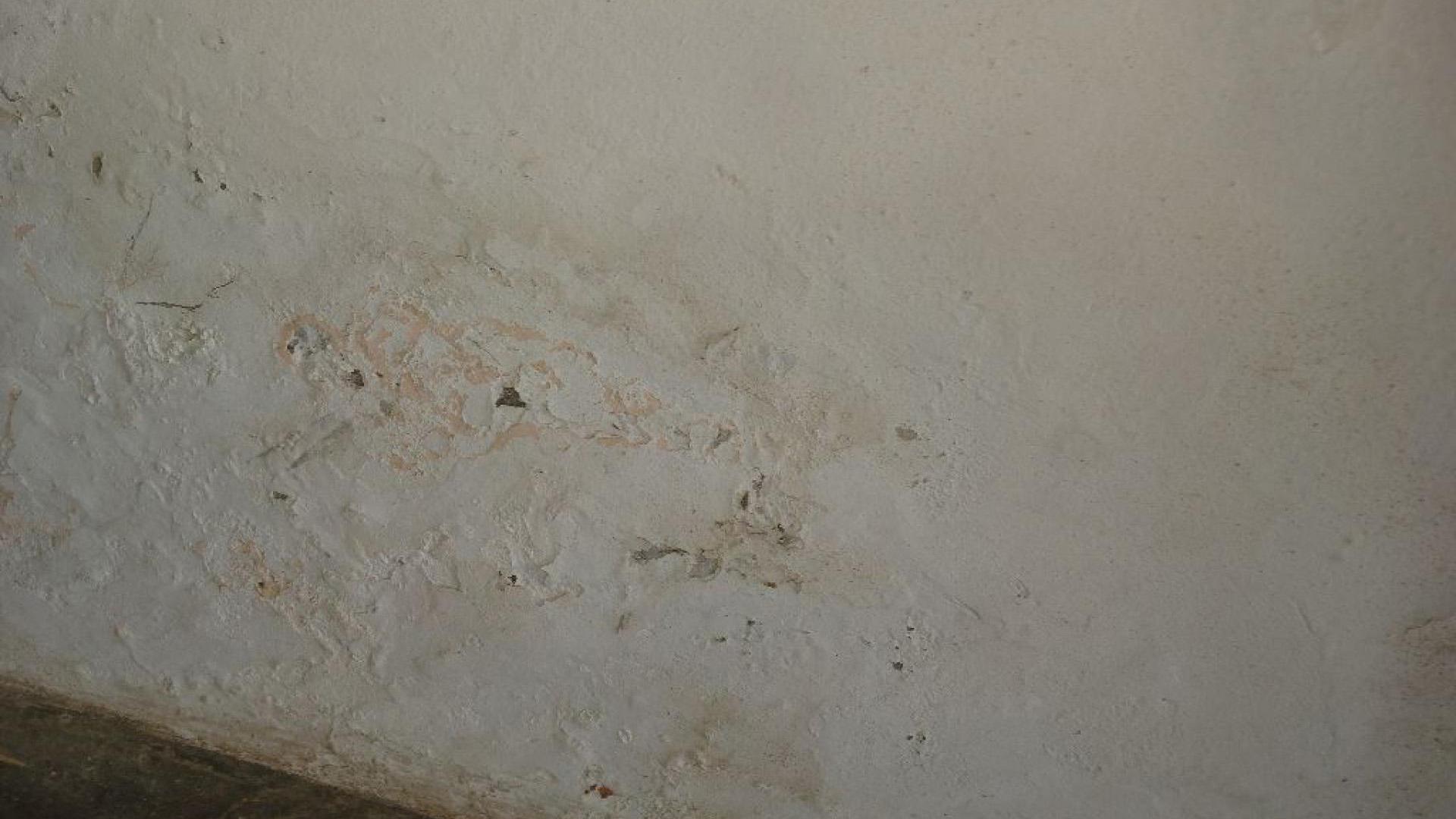 Spaces of property in Highridge