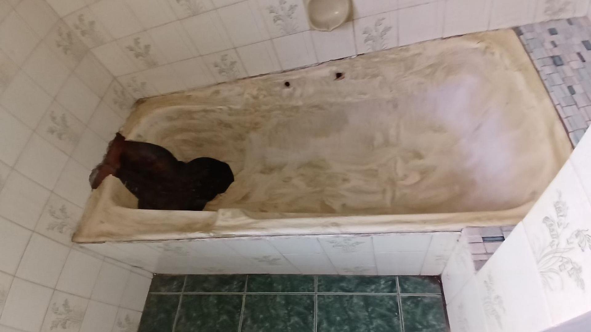 Main Bathroom of property in Highridge