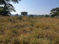  of property in Thohoyandou