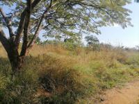  of property in Thohoyandou