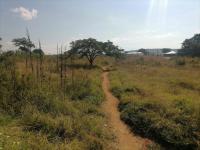  of property in Thohoyandou