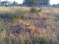 Land for Sale for sale in Polokwane