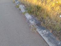  of property in Polokwane