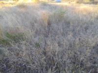  of property in Polokwane
