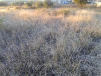  of property in Polokwane