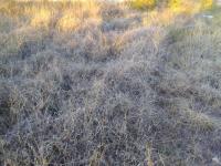  of property in Polokwane