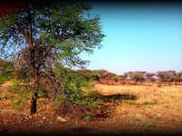 Land for Sale for sale in Polokwane