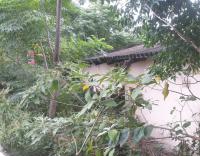 3 Bedroom 1 Bathroom House for Sale for sale in Marburg