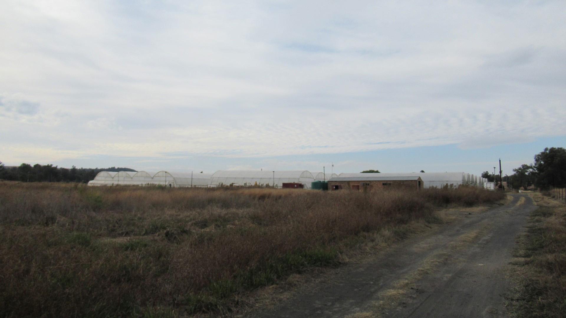 Backyard of property in Valley Settlement
