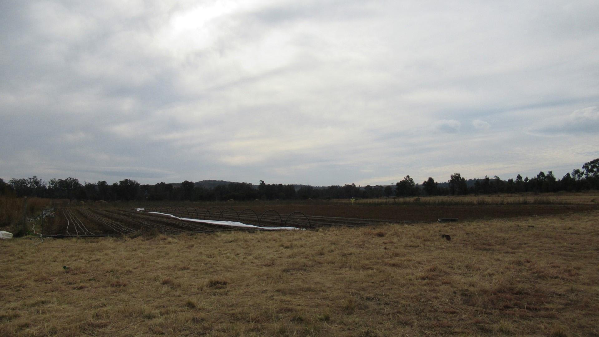 Backyard of property in Valley Settlement