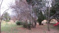 Backyard of property in Valley Settlement