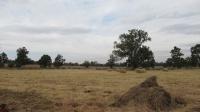 Backyard of property in Valley Settlement