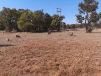  of property in Hammanskraal