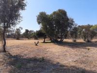  of property in Hammanskraal