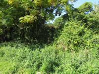 Land for Sale for sale in Athlone Park