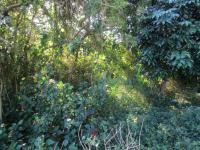  of property in Athlone Park