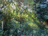  of property in Athlone Park