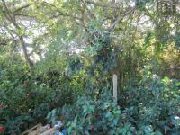  of property in Athlone Park