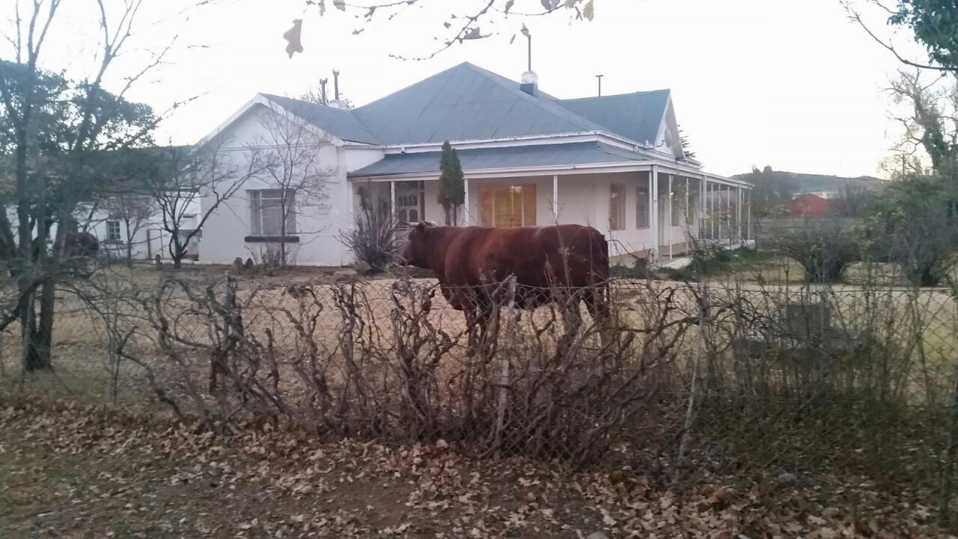 Front View of property in Jamestown - EC