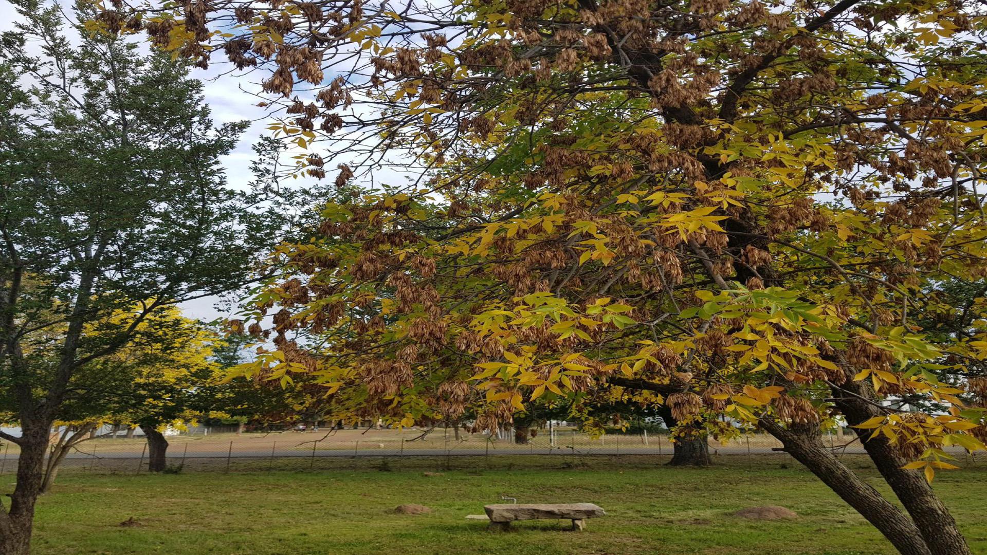 Front View of property in Jamestown - EC