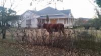 Front View of property in Jamestown - EC