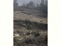  of property in Rant-En-Dal