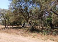 Front View of property in Rietvallei