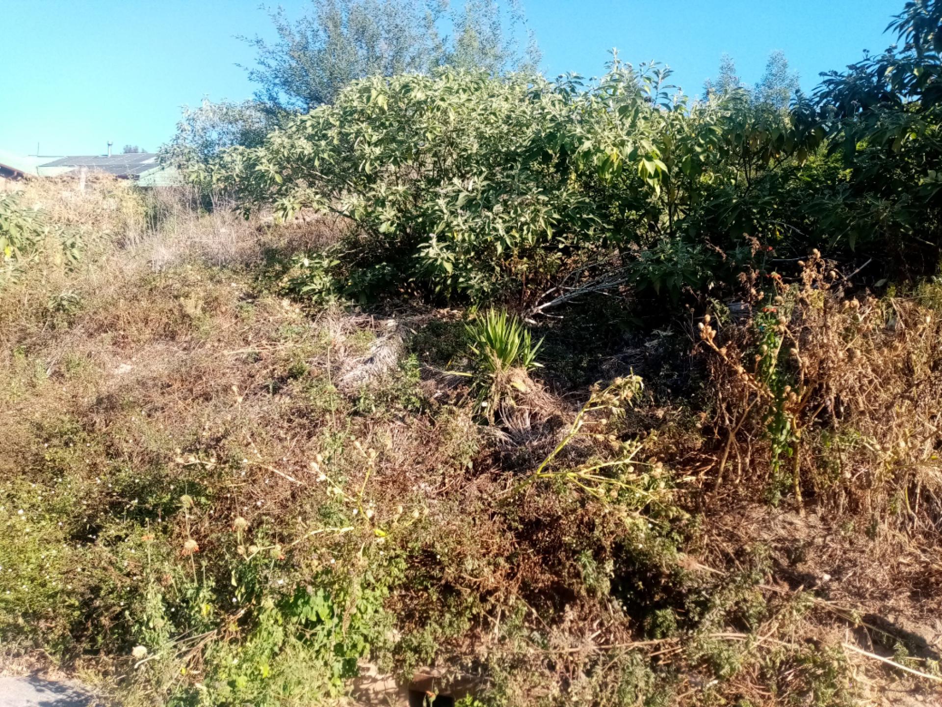  of property in Kenmare