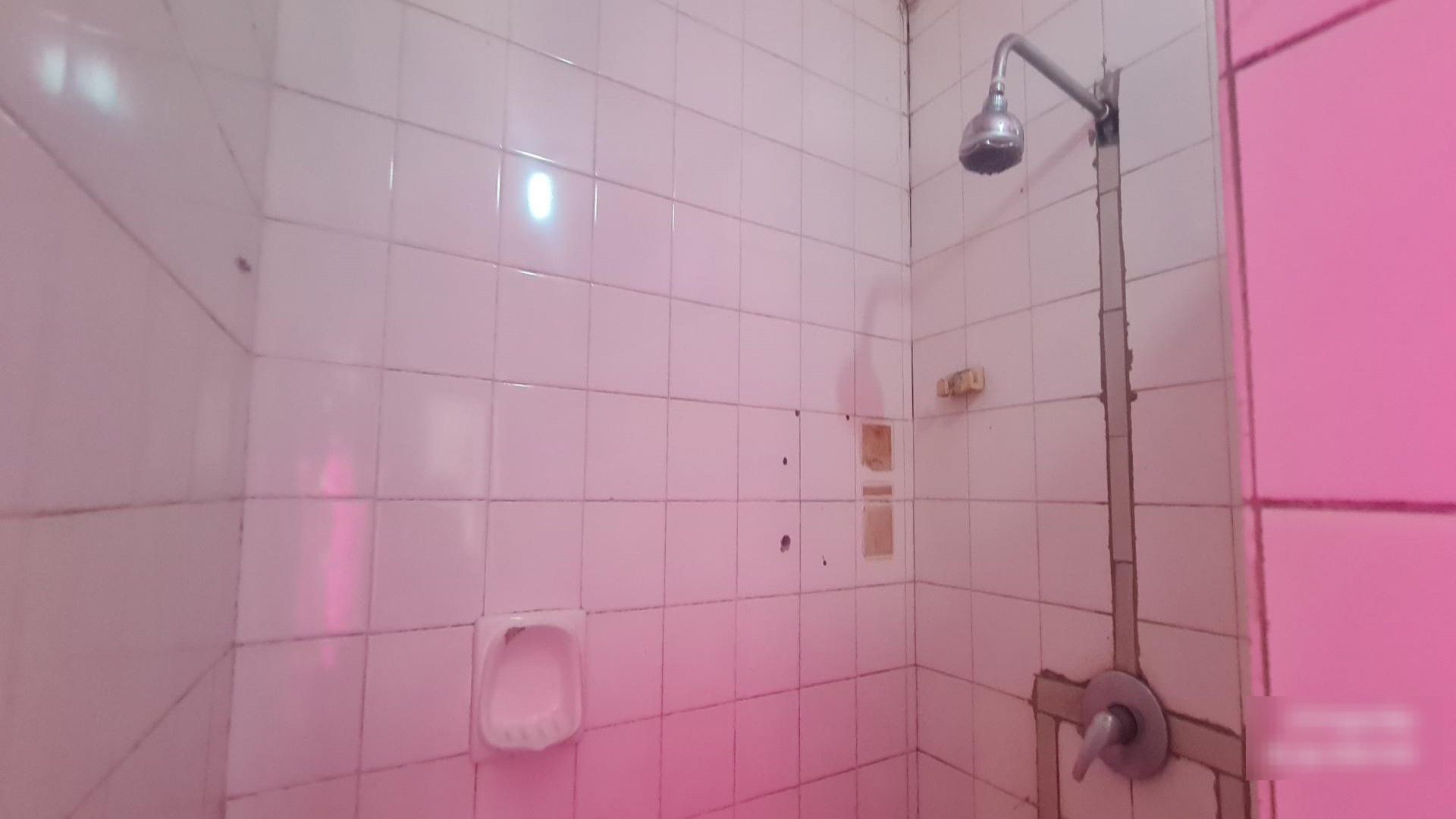 Bathroom 1 of property in Primrose