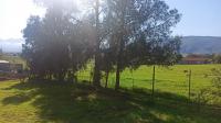 Backyard of property in Tulbagh