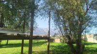 Backyard of property in Tulbagh